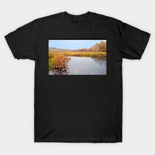 Calm autumn colors T-Shirt